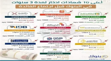 أعلى فائدة بنكية.. تفاصيل عائد شهادة الادخار الثلاثية قبيل قرار البنك المركزي اليوم